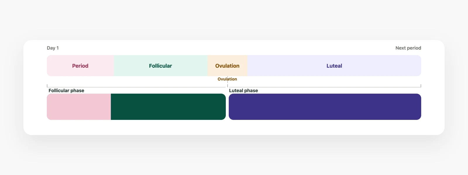 Two ovarian phases with bleeding inside the follicular phase and ovulation at the boundary, beneath four app display labels.
